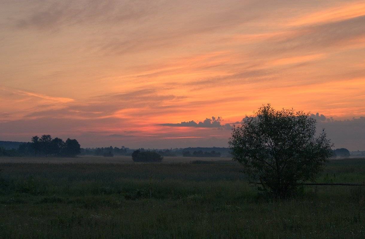 , Николай Шахманцир