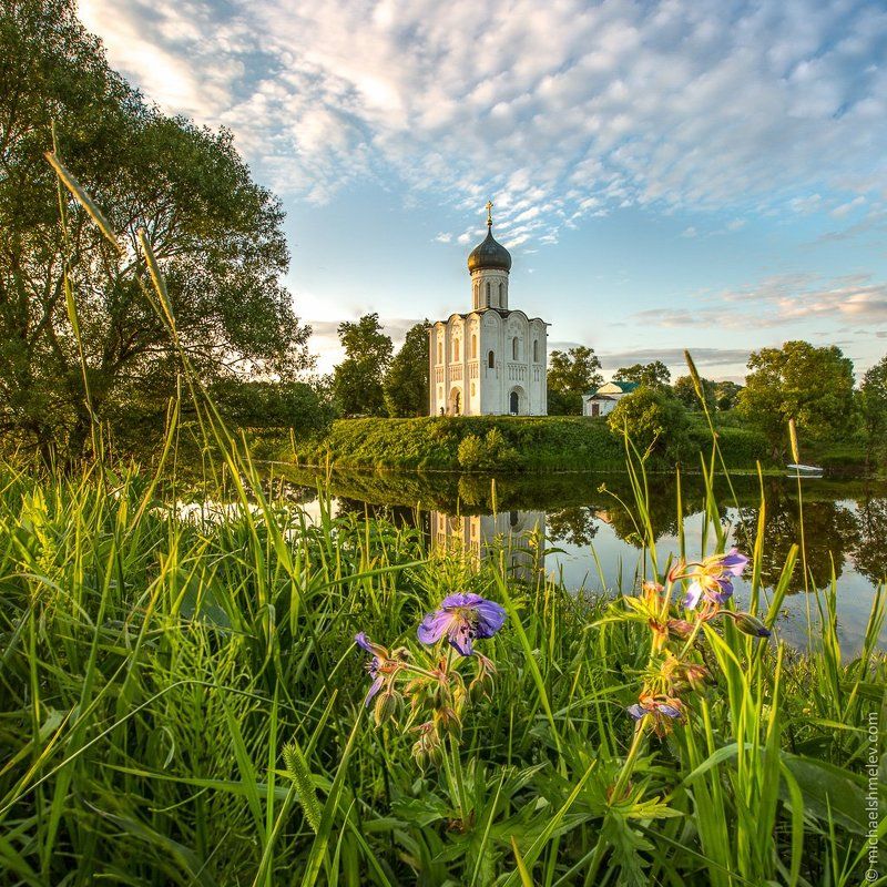 Церковь Покрова на Нерли в начале летаphoto preview