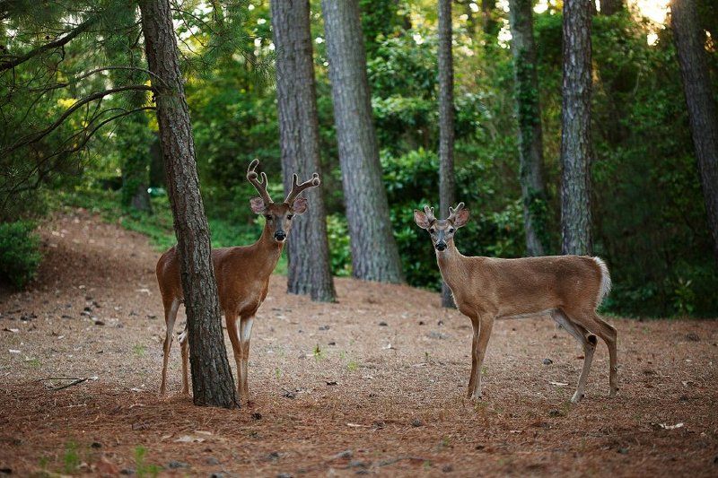Sweet couplephoto preview
