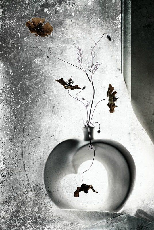 Момент, Настроение, Утро Момент из суеты...photo preview