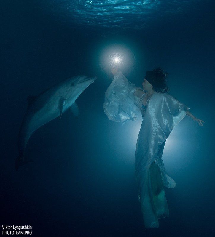 Дарующая светphoto preview