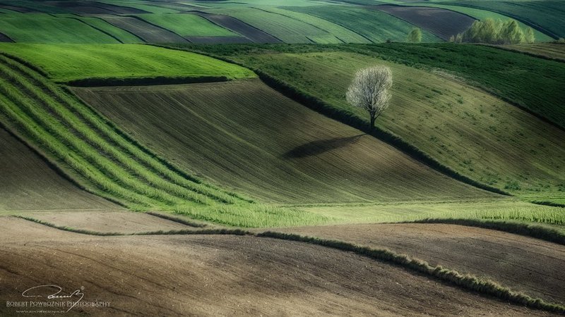 Springtime...photo preview