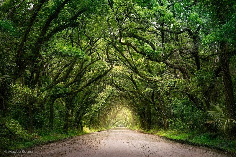 Plantation Roadphoto preview