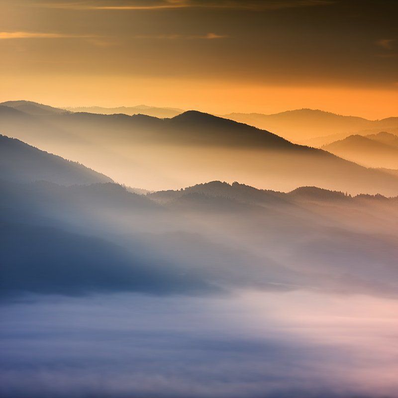 The first rays ...photo preview