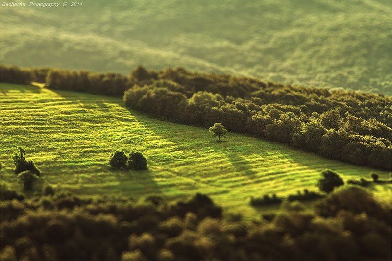 A Moment In The Sun IIphoto preview