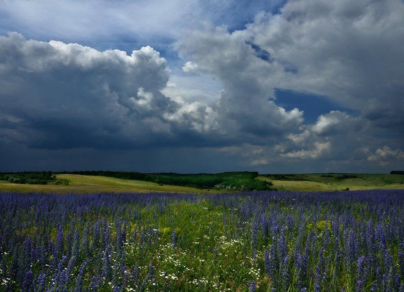 Время дождейphoto preview