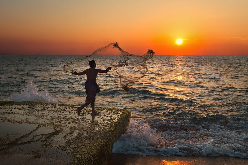 Ловец солнцаphoto preview