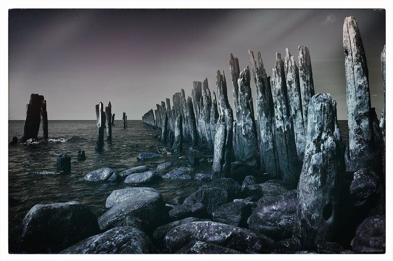 [In the Light of the Moon]photo preview