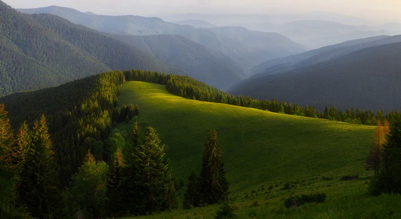 Пробуждение. фото превью