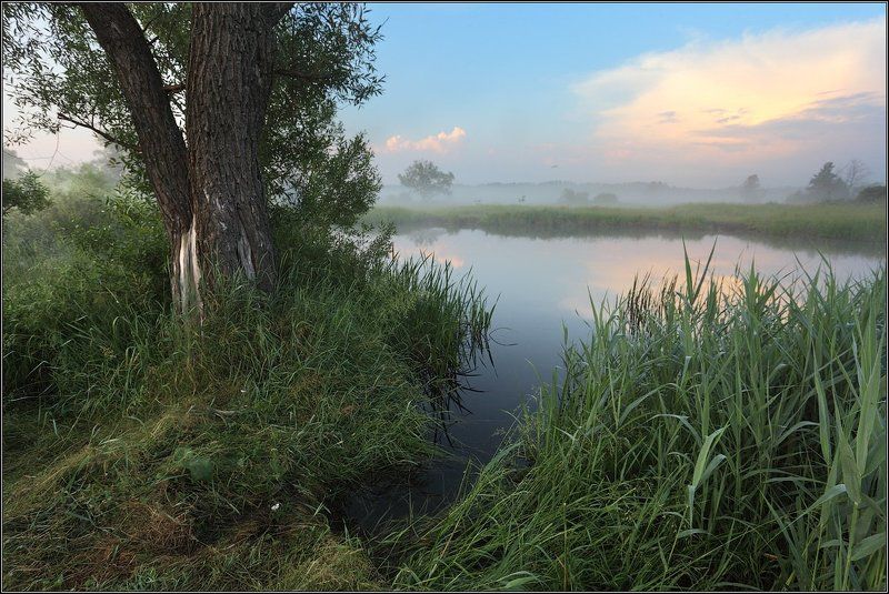 Заводьphoto preview