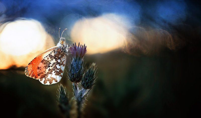 End of the day...photo preview