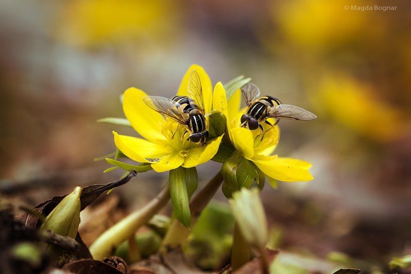Team at Workphoto preview