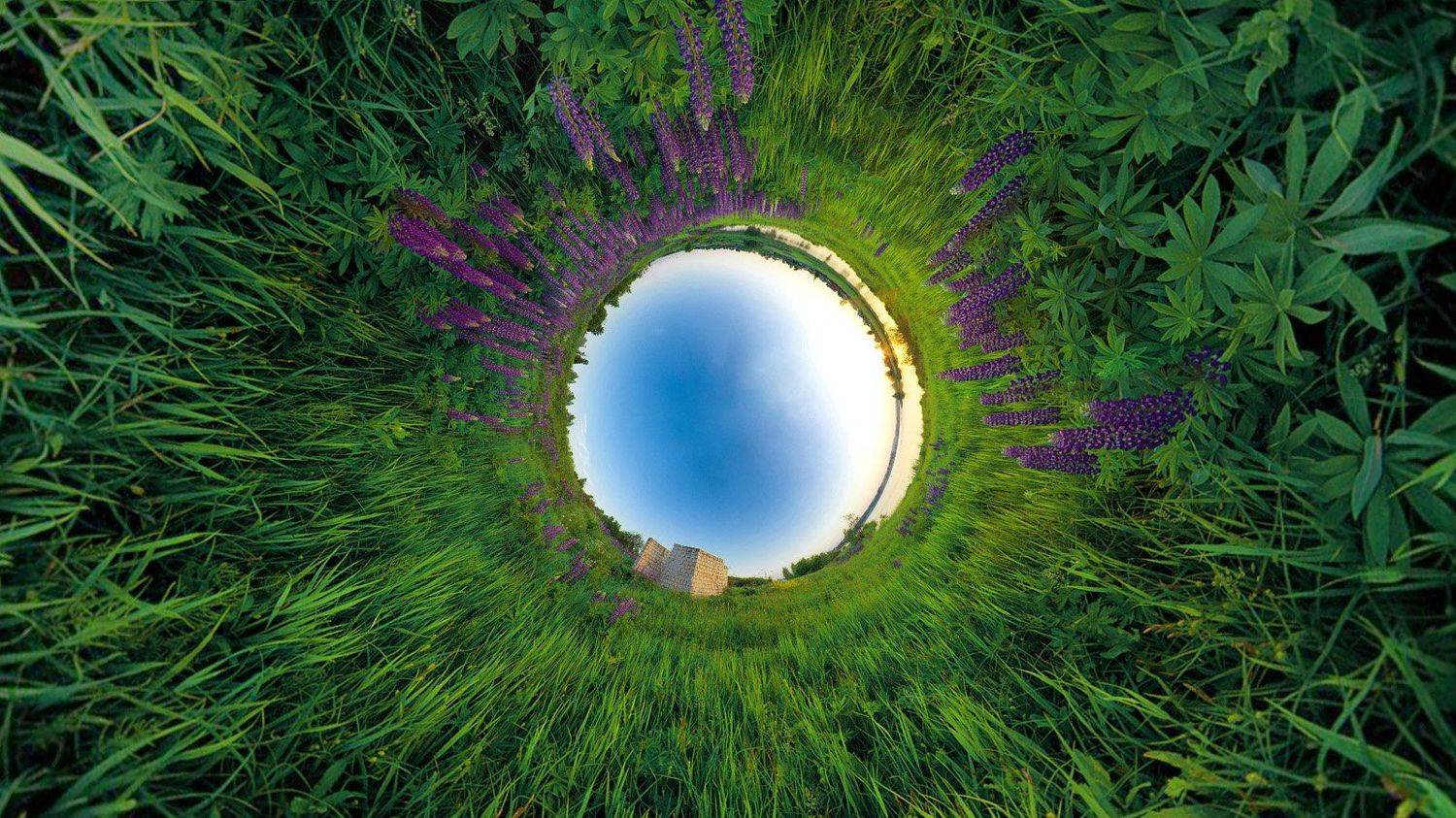 Колодец троллей. Автор: Svetlana Golicyna , Svetlana Golicyna