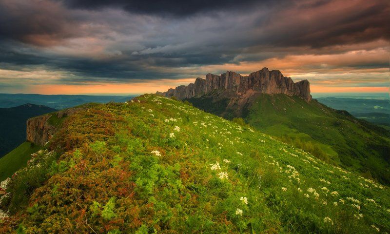 горы, кавказ, лето, июнь, тхачи, утро Когда цветут цветыphoto preview