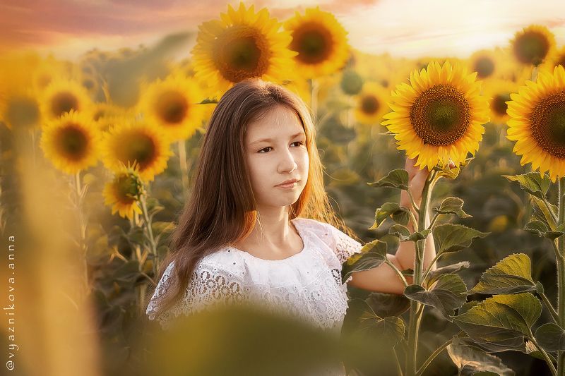 фотограф Лисичанск, летняя фотосессия, фотосессия на природе, Анна Вязникова, Лисичанск, фотограф Северодонецк, фотосессия с цветами, детский фотограф,  семейный фотограф, фотосессия в подсолнухах, Солнцеphoto preview