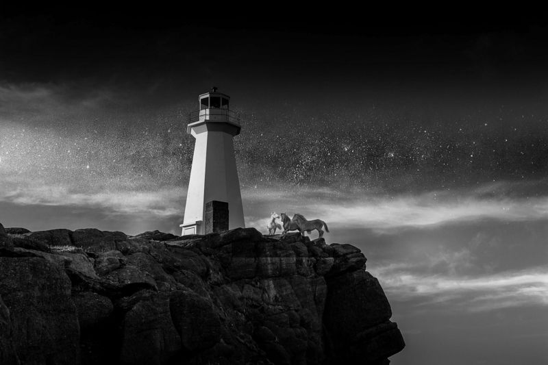 Лошадкиphoto preview