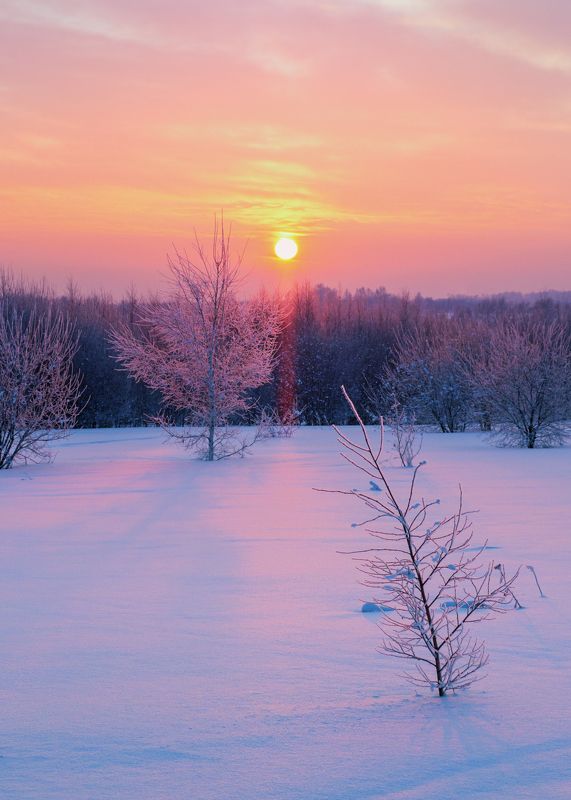 Морозное утроphoto preview