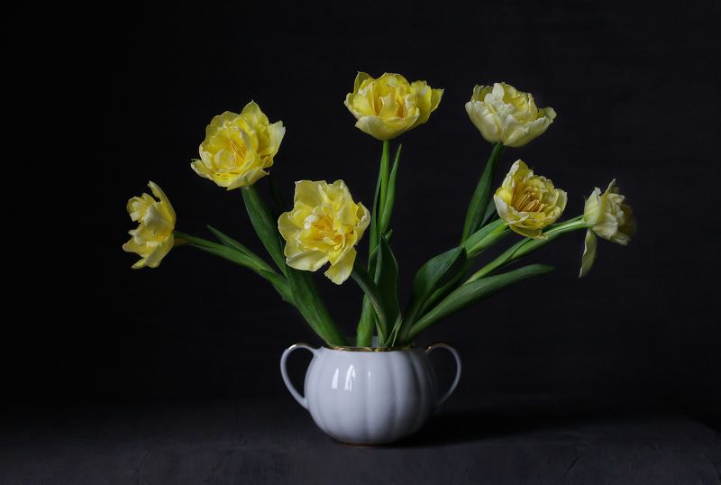 Тюльпаныphoto preview