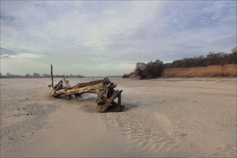 Крупная рыбаphoto preview