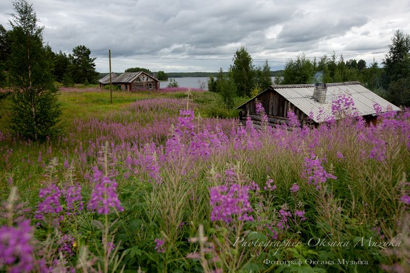 Лето в Карелииphoto preview