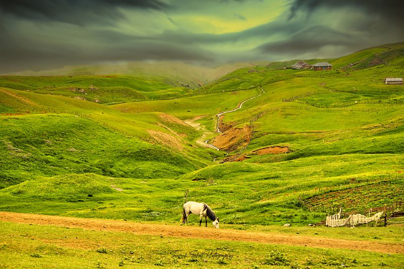 Golden Timephoto preview