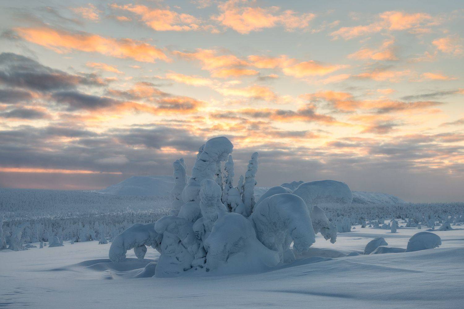 , Михаил Туркеев