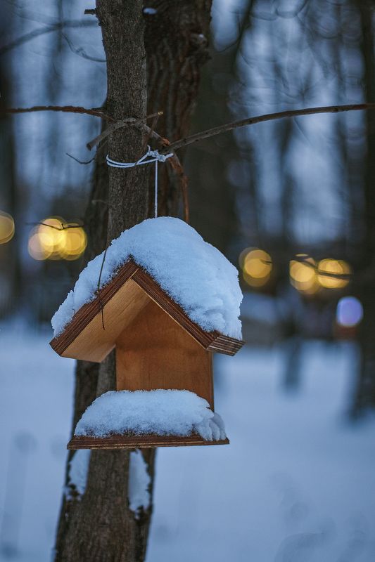 canon 50, beautiful, красивый, moment, момент, city, городской, evening, вечерний, park, парк, winter, зима, snow, снег, bokeh, боке, домик, house, Летнее кафе для птичек...photo preview