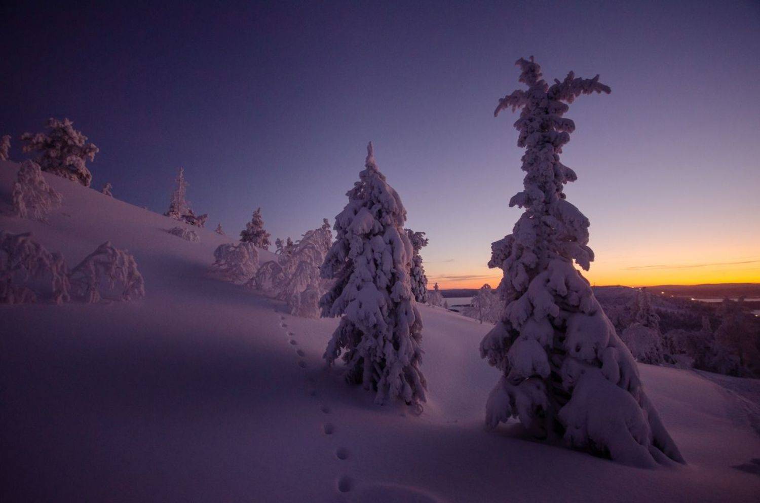 Кандалакша. Автор: Абрамов Денис , Абрамов Денис