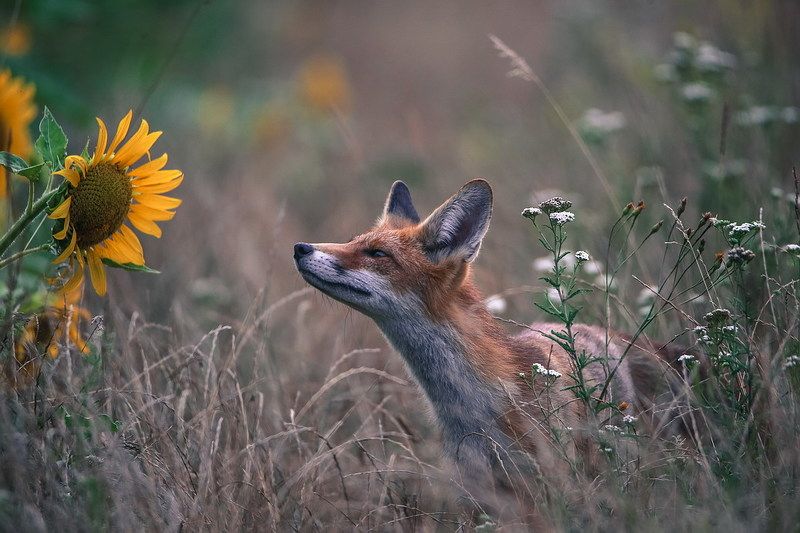 Любимый человек всегда пахнет вкусноphoto preview