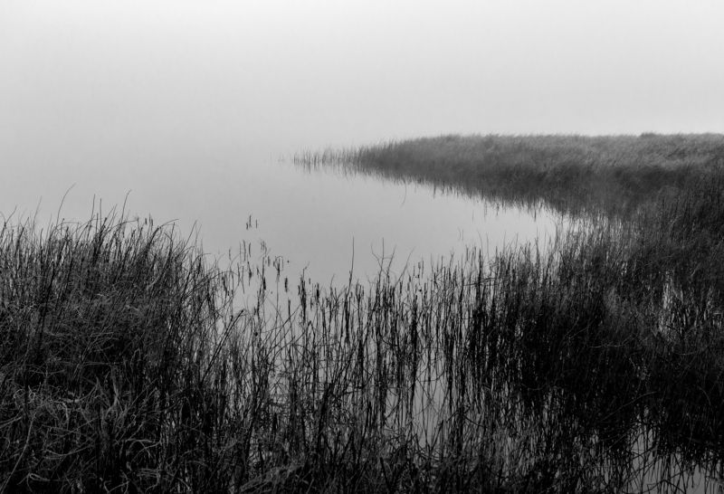 черно-белый пейзаж Озеро-водонакопитель руч. Озерное 1photo preview