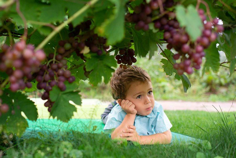 Виноградная историяphoto preview