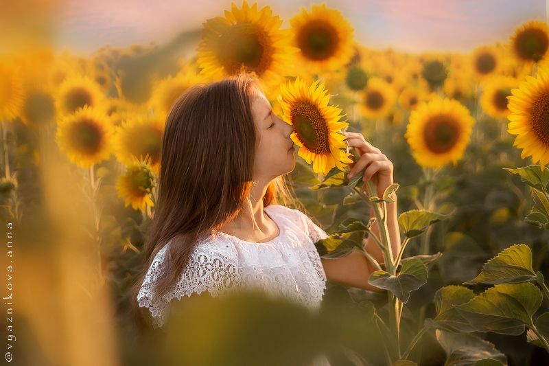 фотограф Лисичанск, летняя фотосессия, фотосессия на природе, Анна Вязникова, Лисичанск, фотограф Северодонецк, фотосессия с цветами, детский фотограф,  семейный фотограф, фотосессия в подсолнухах, Иринаphoto preview