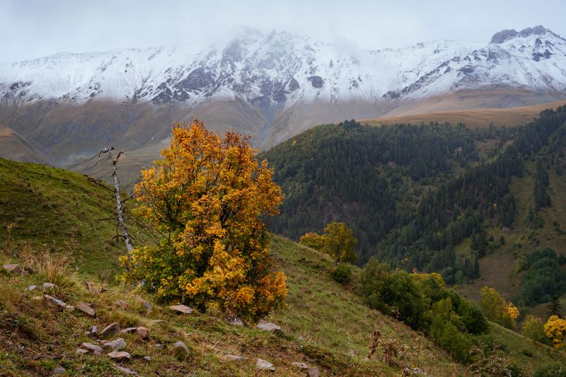 горы, осень, зима, снег Граница зимыphoto preview