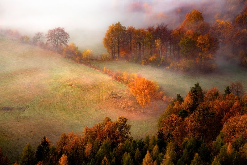 landscape,autumn,mountains,canon An Autumn\'s Tale...photo preview