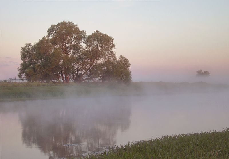 Туманное утроphoto preview