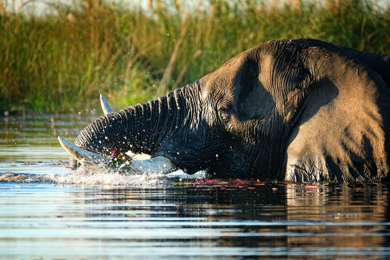 Lunch timephoto preview