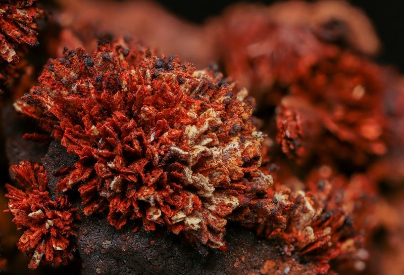 Сантабарбараит фото превью