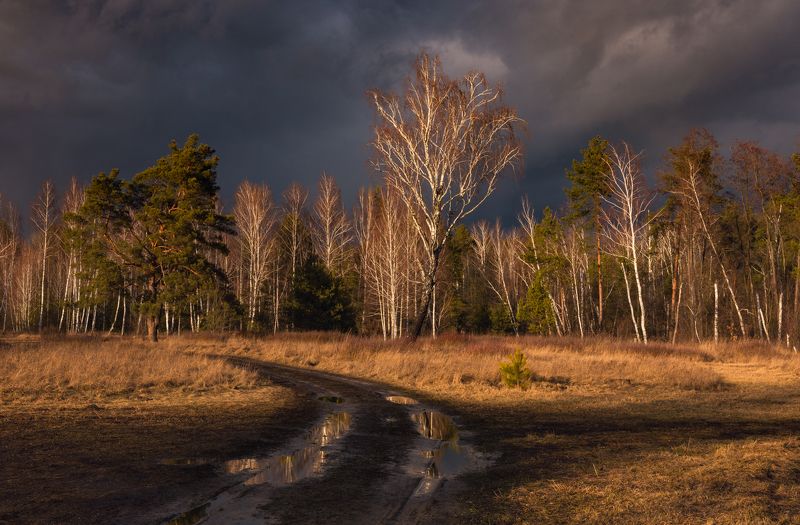 луг зима февраль закат тучи Где, словно лава, вдруг вскипел закатphoto preview