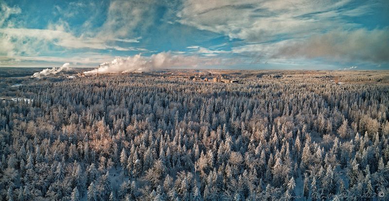 Светогорск 2022.photo preview