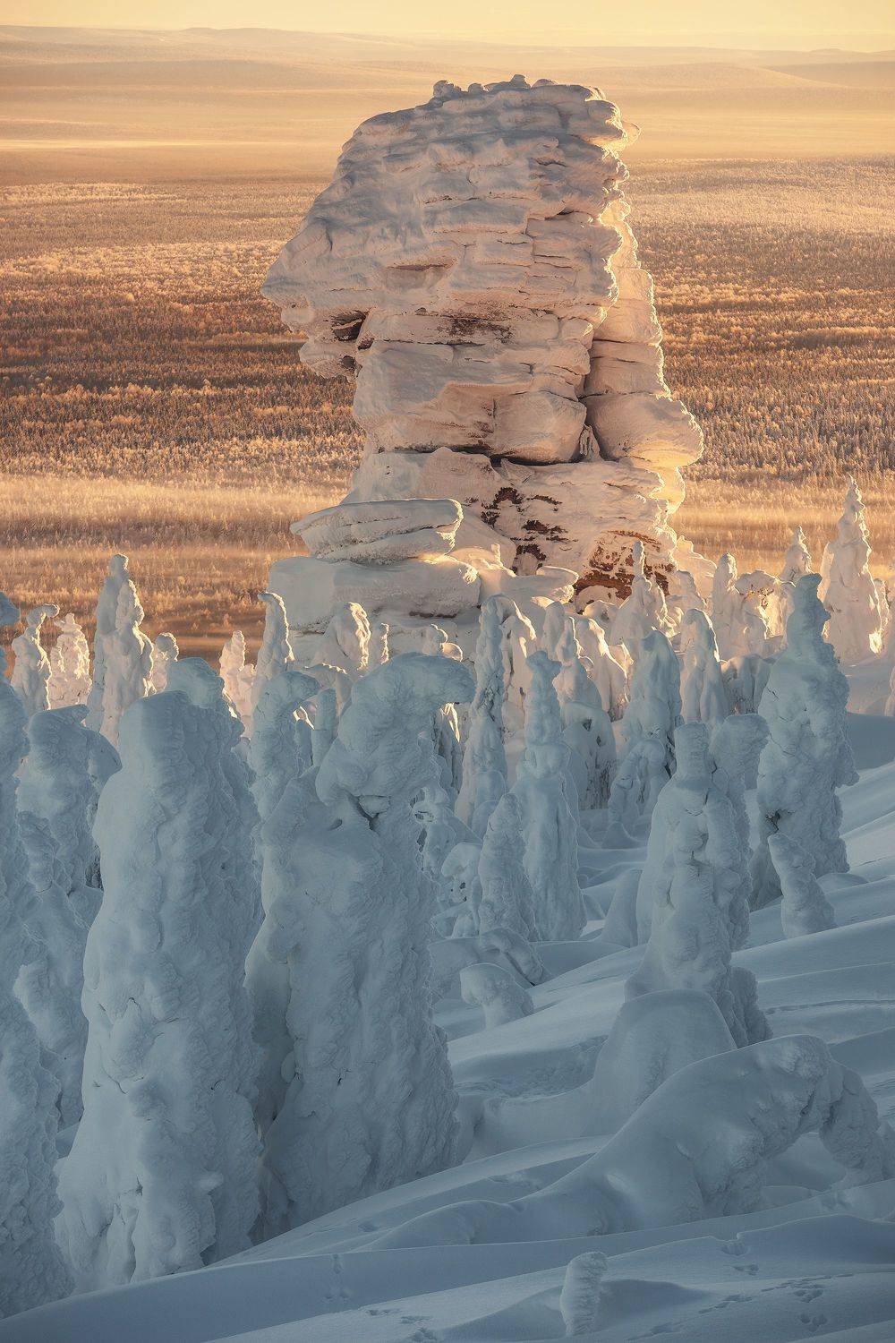 , Алексей Козаченко