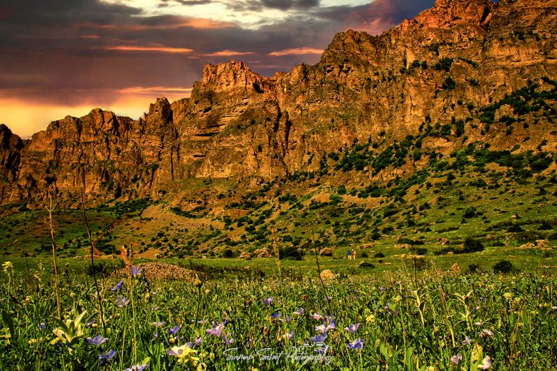 Golden Timephoto preview