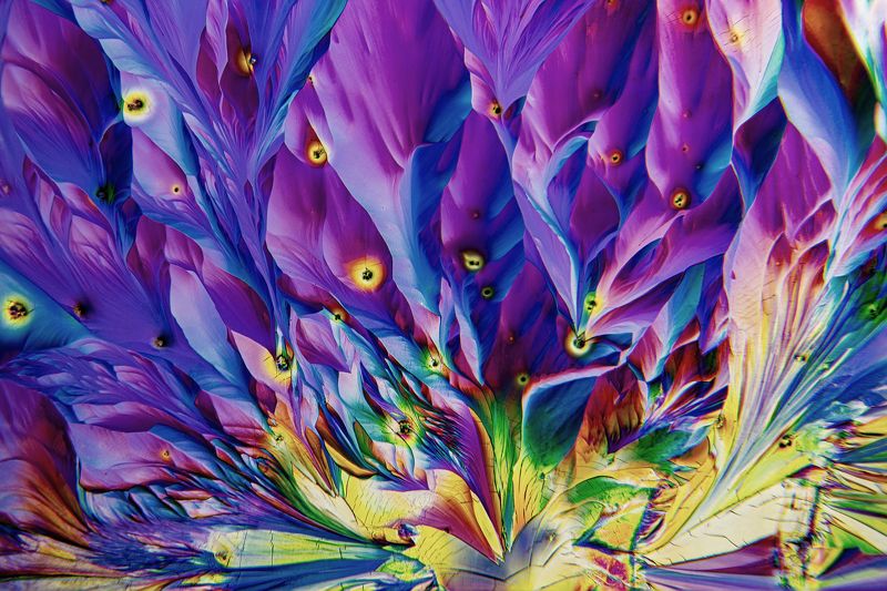 Beeta alaniinphoto preview