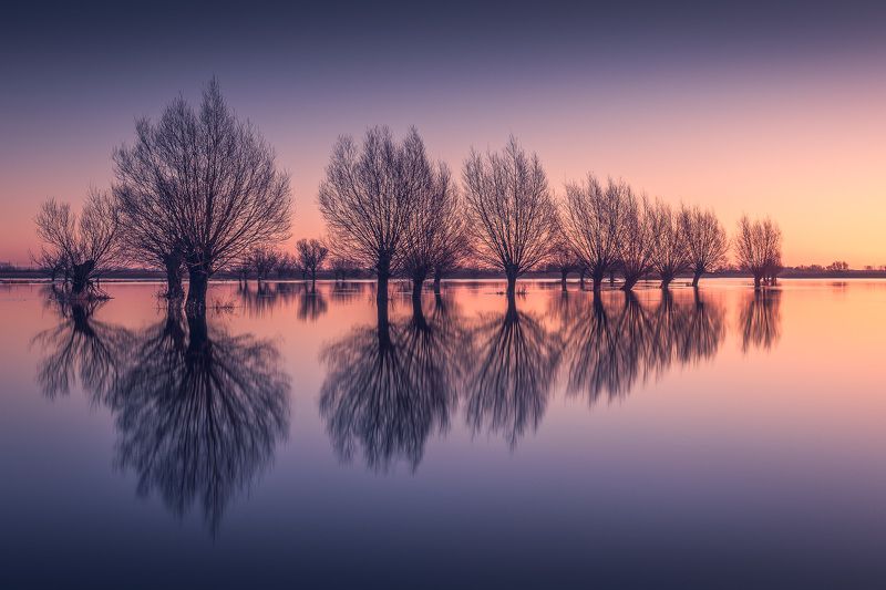 Reflectionphoto preview