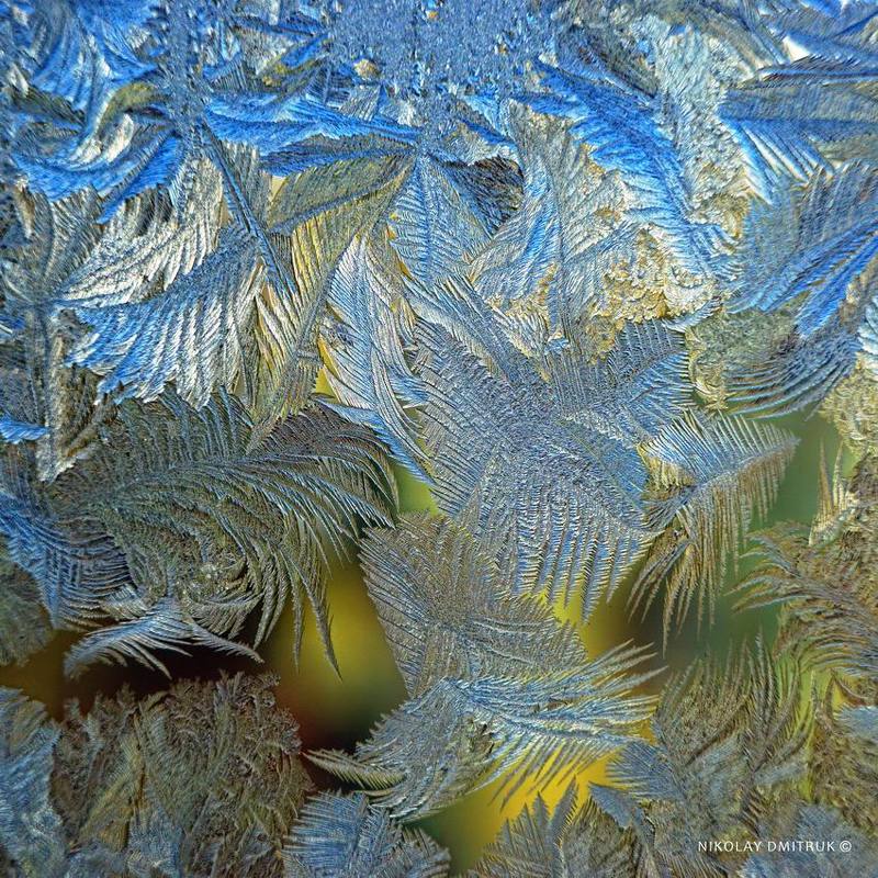 макро сумерки. графика мороза photo preview