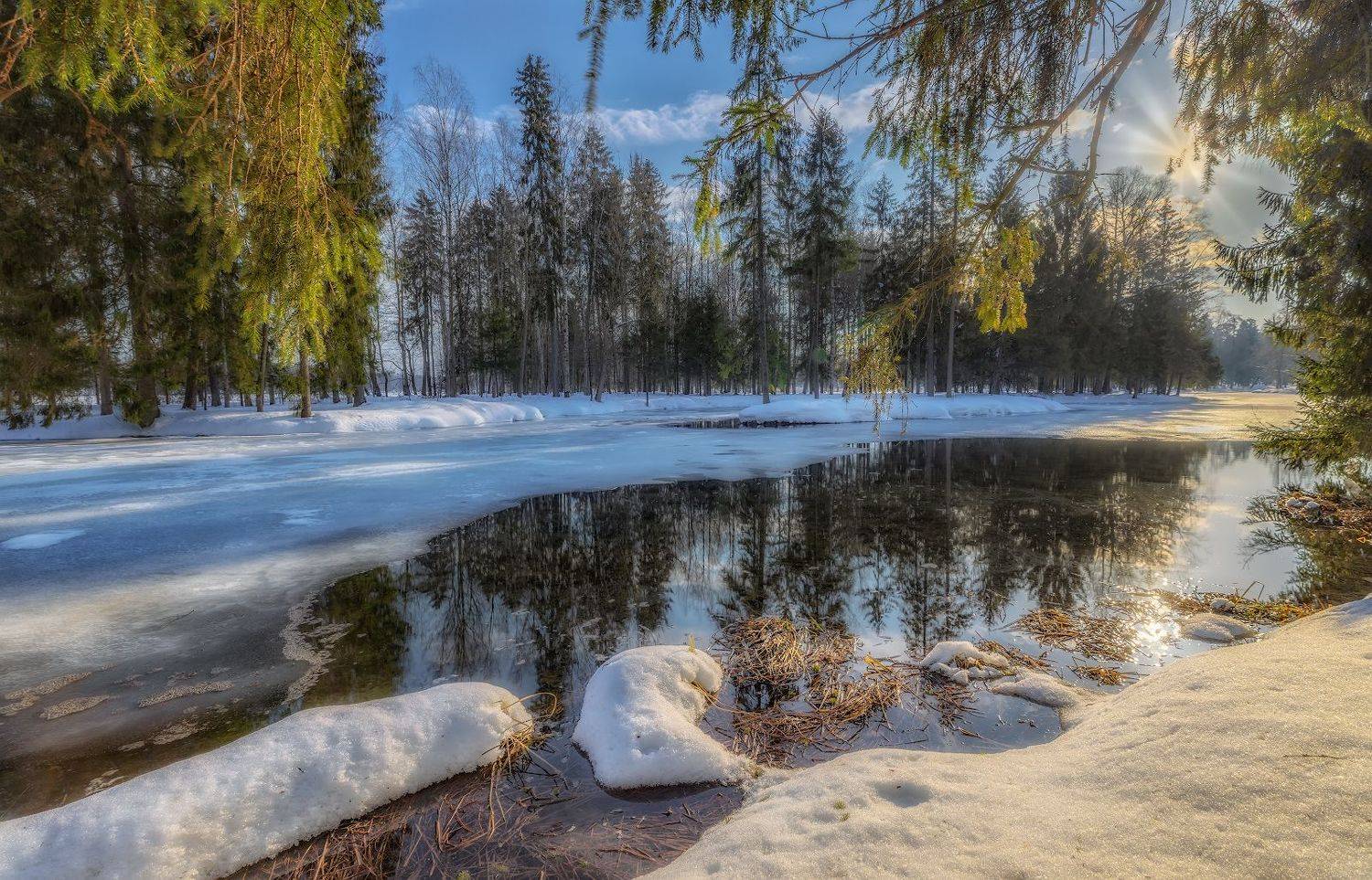 Прощание с зимой. Автор: Скороходов Константин февраль солнце пруд снег зима ель отражение, Скороходов Константин