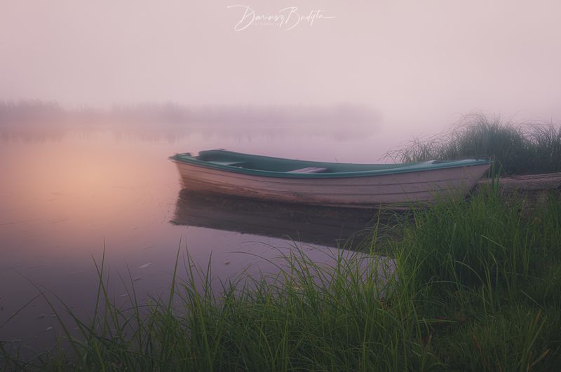 Morning fogphoto preview