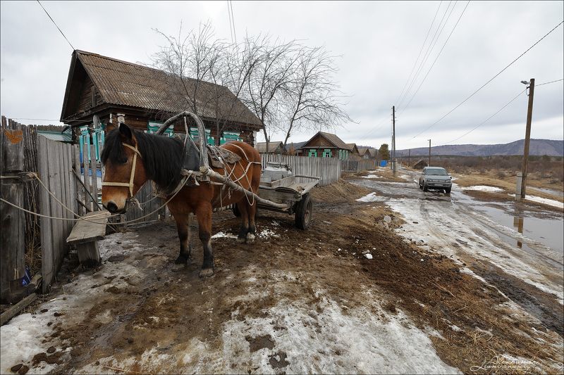 Забайкальский край Сретенские ебеняphoto preview