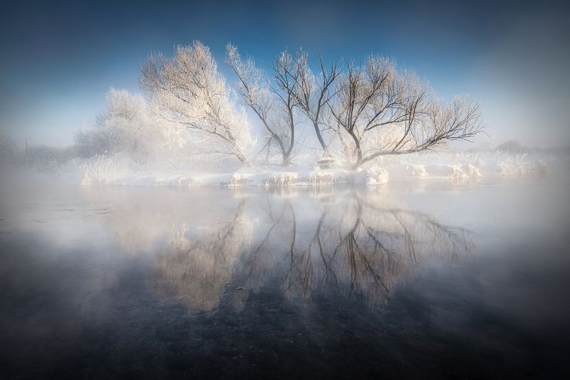 алтай, алтайский край, советский район, зимний алтай, зима в предгорьях, зимний пейзаж, деревья в инее, отражение, невесомость, зазеркалье, tree photography, winter landscape Легкие зимы / Невесомость фото превью