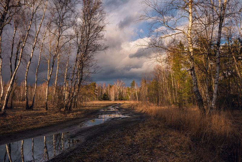 луг зима февраль закат тучи лужи Февральский день лениво шел к закату и вдруг сверкнуло солнце жарким златомphoto preview