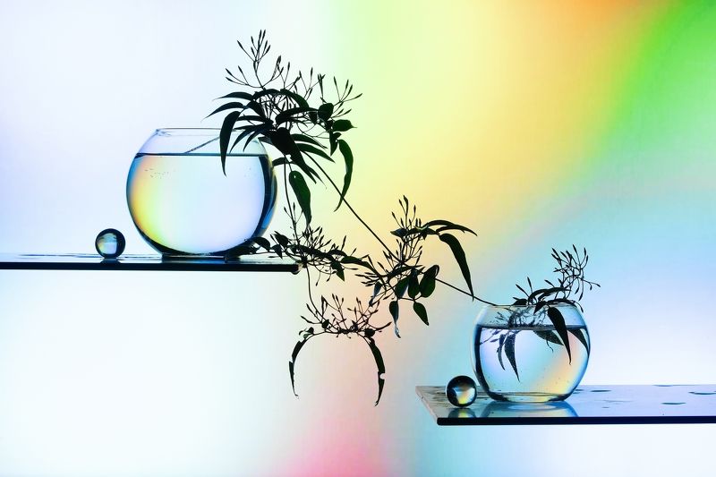 Bodegón de cristalphoto preview